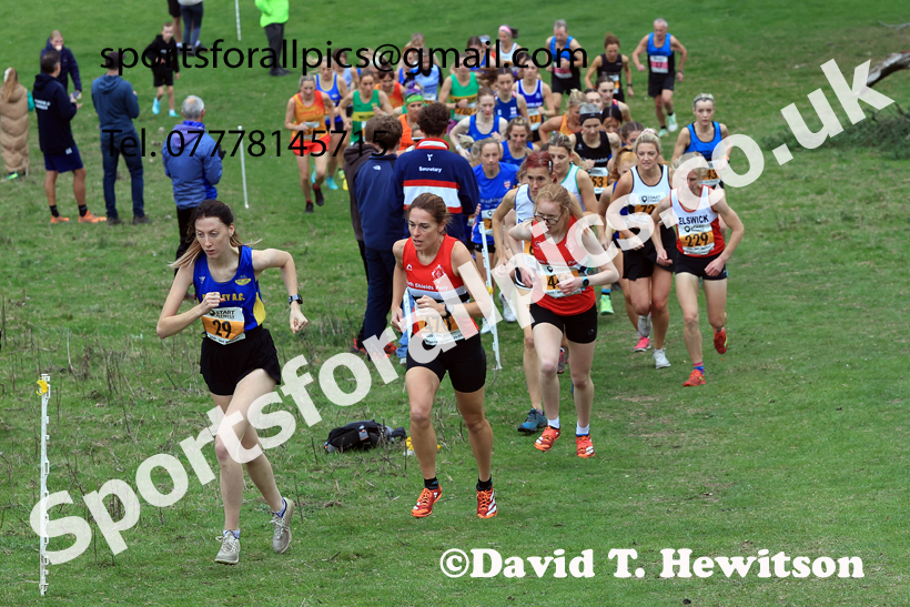 Senior Womens 2025 Start Fitness NEHL, Thornley Hall Farm, Peterlee, County Durham. Photo: David T. Hewitson/Sports for All Pics